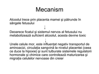 Mecanism Alcoolul trece prin placenta mamei şi pătrunde în sângele fetusului Deoarece ficatul şi sistemul nervos al fetusului nu metabolizează suficient alcoolul, acesta devine toxic Unele celule mor, este influenţat negativ transportul de aminoacizi, circulaţia sangvină la nivelul placentei (ceea ce duce la hipoxie) şi sunt tulburate sistemele regulatorii hormonale şi chimice care controlează maturizarea şi migraţia celulelor nervoase din creier 