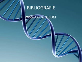 BIBLIOGRAFIE
WWW.GOOGLE.COM
 