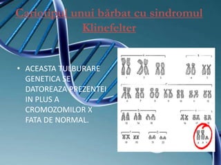 Cariotipul unui bărbat cu sindromul
Klinefelter
• ACEASTA TULBURARE
GENETICA SE
DATOREAZA PREZENTEI
IN PLUS A
CROMOZOMILOR X
FATA DE NORMAL.
 