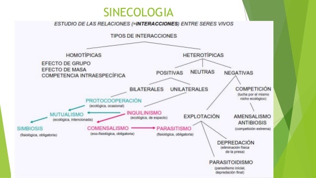 EJEMPLOS DE SINECOLOGIA PDF