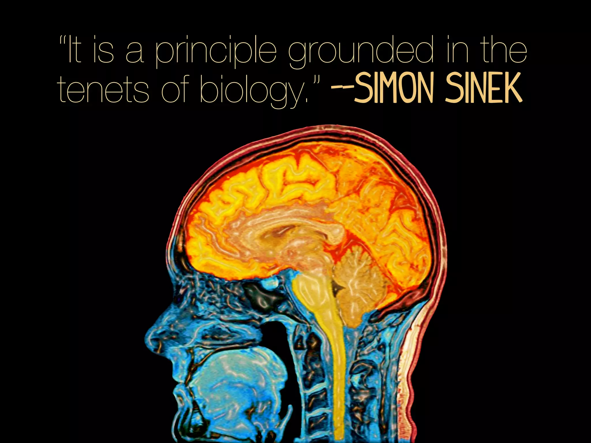 “It is a principle grounded in the
tenets of biology.” --Simon Sinek
 