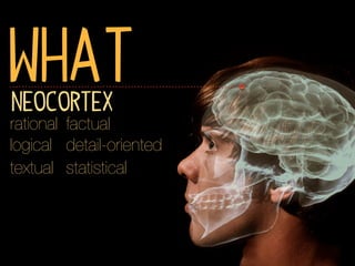 What
Neocortex
rational factual
logical detail-oriented
textual statistical
 