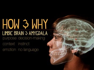 How & Why
Limbic Brain & Amygdala
purpose decision-making
context instinct
emotion no language
 