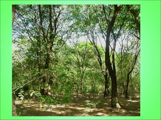 Sin emisiones de co2