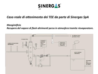 Caso reale di ottenimento dei TEE da parte di Sinergas SpA
Mangimificio
Recupero del vapore di flash altrimenti perso in atmosfera tramite rievaporatore.
 