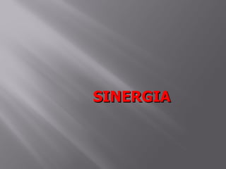 SINERGIA
 