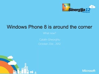 Windows Phone 8 is around the corner
What now?
October 23st , 2012
Catalin Gheorghiu
 