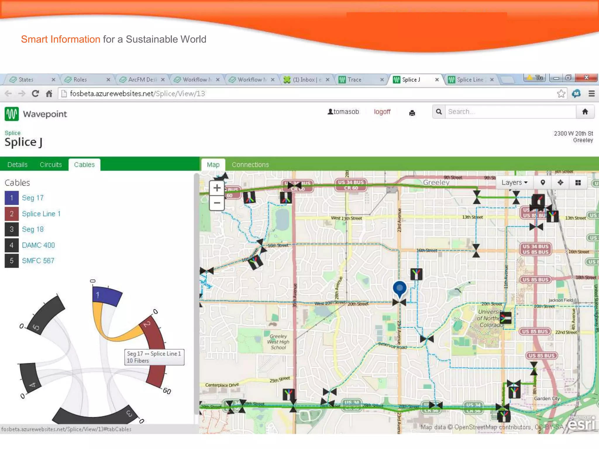 Smart Information for a Sustainable World
 