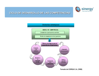 CICLO DE DESARROLLO DE LAS COMPETENCIAS
Anímico
Tomado de CORGA C.A. (1999)
 
