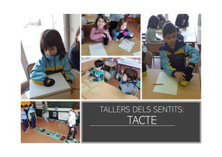 TALLERS DELS SENTITS:
TACTE
 