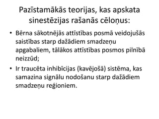 Pazīstamākās teorijas, kas apskata
sinestēzijas rašanās cēloņus:
• Bērna sākotnējās attīstības posmā veidojušās
saistības starp dažādiem smadzeņu
apgabaliem, tālākos attīstības posmos pilnībā
neizzūd;
• Ir traucēta inhibīcijas (kavējošā) sistēma, kas
samazina signālu nodošanu starp dažādiem
smadzeņu reģioniem.
 