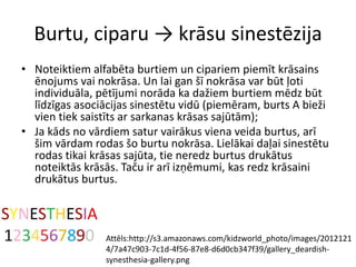 Burtu, ciparu → krāsu sinestēzija
• Noteiktiem alfabēta burtiem un cipariem piemīt krāsains
ēnojums vai nokrāsa. Un lai gan šī nokrāsa var būt ļoti
individuāla, pētījumi norāda ka dažiem burtiem mēdz būt
līdzīgas asociācijas sinestētu vidū (piemēram, burts A bieži
vien tiek saistīts ar sarkanas krāsas sajūtām);
• Ja kāds no vārdiem satur vairākus viena veida burtus, arī
šim vārdam rodas šo burtu nokrāsa. Lielākai daļai sinestētu
rodas tikai krāsas sajūta, tie neredz burtus drukātus
noteiktās krāsās. Taču ir arī izņēmumi, kas redz krāsaini
drukātus burtus.
Attēls:http://s3.amazonaws.com/kidzworld_photo/images/2012121
4/7a47c903-7c1d-4f56-87e8-d6d0cb347f39/gallery_deardish-
synesthesia-gallery.png
 
