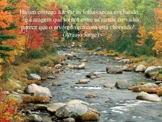 Há um córrego a levar as folhas secas em bando... - e à aragem que soluça entre as ramas curvadas, parece que o arvoredo em coro está chorando!...  (Araujo Jorge) 