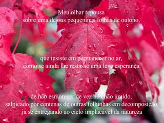 Meu olhar repousa  sobre uma dessas pequeninas folhas de outono,  que insiste em permanecer no ar,  como se ainda lhe restasse uma leve esperança  de não esmorecer de vez no chão úmido,  salpicado por centenas de outras folhinhas em decomposição, já se entregando ao ciclo implacável da natureza 