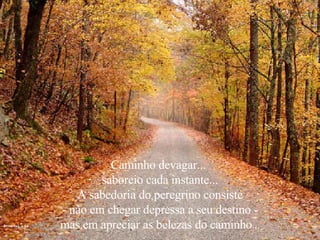 Caminho devagar...  saboreio cada instante... A sabedoria do peregrino consiste - não em chegar depressa a seu destino -  mas em apreciar as belezas do caminho ... 