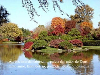 Áureos tons da natureza.... paleta das mãos de Deus...  tanto amor, tanta beleza, preenchendo os olhos meus ... 
