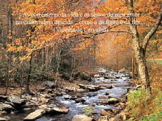 As correntezas da vida e os restos do meu amor resvalam numa descida... como a da fonte e da flor...  (Vicente de Carvalho) 