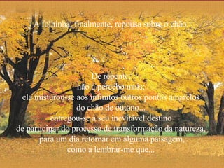 A folhinha, finalmente, repousa sobre o chão.  De repente,  não a percebo mais;  ela misturou-se aos infinitos outros pontos amarelos  do chão de outono...  entregou-se a seu inevitável destino  de participar do processo de transformação da natureza,  para um dia retornar em alguma paisagem, como a lembrar-me que...  