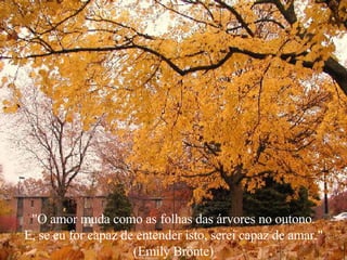 "O amor muda como as folhas das árvores no outono. E, se eu for capaz de entender isto, serei capaz de amar." (Emily Brönte) 