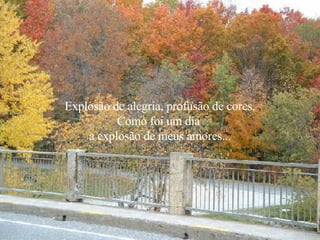 Explosão de alegria, profusão de cores, Como foi um dia  a explosão de meus amores... 