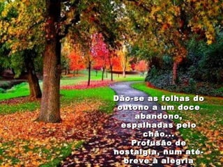 Dão-se as folhas do outono a um doce abandono, espalhadas pelo chão... Profusão de nostalgia, num até-breve à alegria e às cores do verão... 