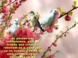 As perdas não lamentemos, pois as trilhas que vivemos renovam-se a cada era: ...se no outono a folha cai, uma outra, é certo, vai, renascer na primavera...  