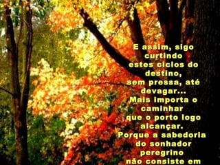 E assim, sigo curtindo estes ciclos do destino, sem pressa, até devagar... Mais importa o caminhar  que o porto logo alcançar.  Porque a sabedoria  do sonhador peregrino  não consiste em chegar  depressa a seu destino.   