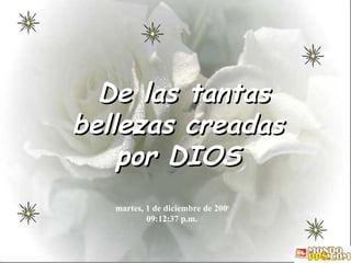 De las tantas bellezas creadas por DIOS domingo, 7 de junio de 2009 12:43:23 a.m. 