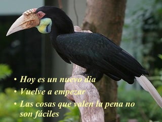 Hoy es un nuevo dia Vuelve a empezar Las cosas que valen la pena no son fáciles 