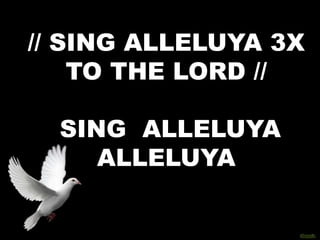 // SING ALLELUYA 3X
    TO THE LORD //

  SING ALLELUYA
     ALLELUYA
 
