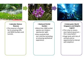 •Labrador Nature
Reserve
•This reserve is flocked
for its amazing cliffs
and WWII bunkers and
tunnels.
•National Orchid
Garden
•More than 1000 orchid
species are simply a
spectacular sight.
•Very carefully laid-
out, and thus providing
an amazing aesthetical
experience.
•Underwater World
Singapore and Dolphin
Lagoon
•This is by no means
your typical aquarium –
this is way better!
•Huge tanks with lots of
animals and an
opportunity to interact
with dolphins!
 