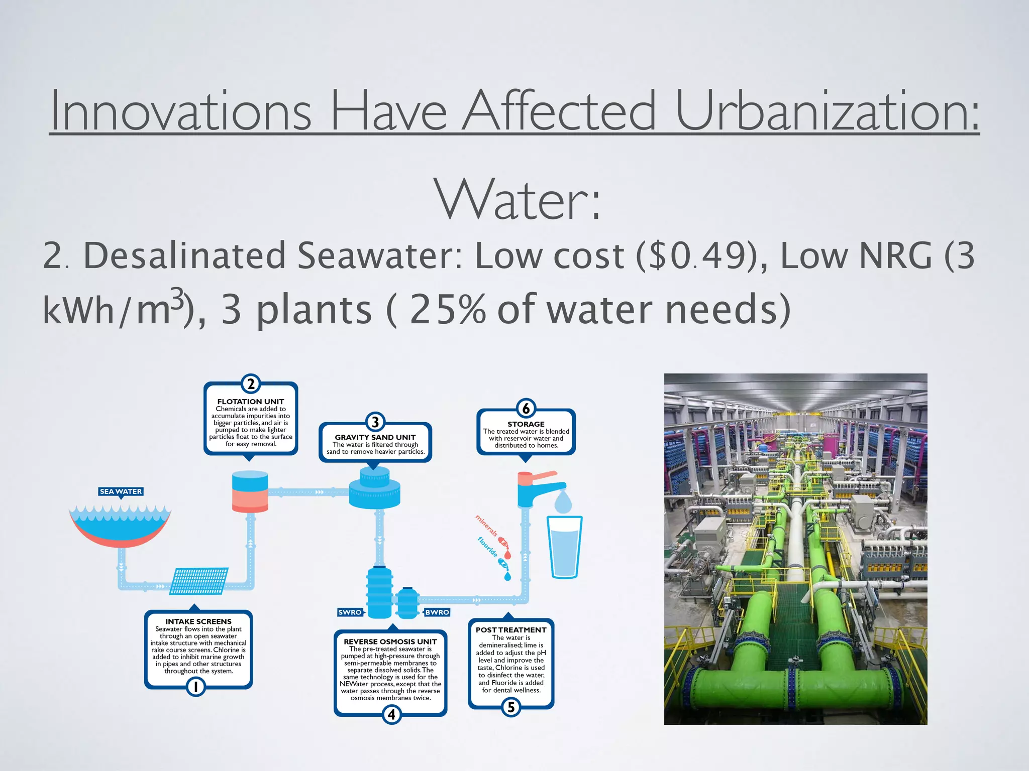 Singapore (Urbanization & Innovation) | PDF