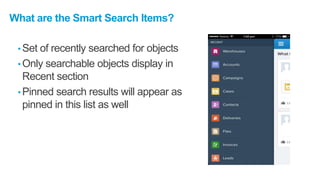 What are the Smart Search Items?
• Set of recently searched for objects
• Only searchable objects display in
Recent section
• Pinned search results will appear as
pinned in this list as well
 
