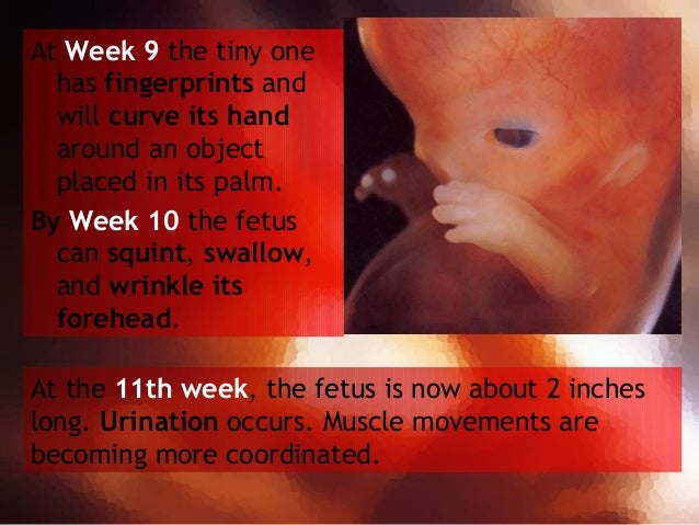 abortion after effects abortion after effects