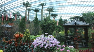 Singapore gardens