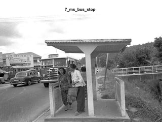 7_ms_bus_stop 