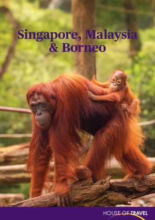 Singapore, Malaysia
& Borneo
 