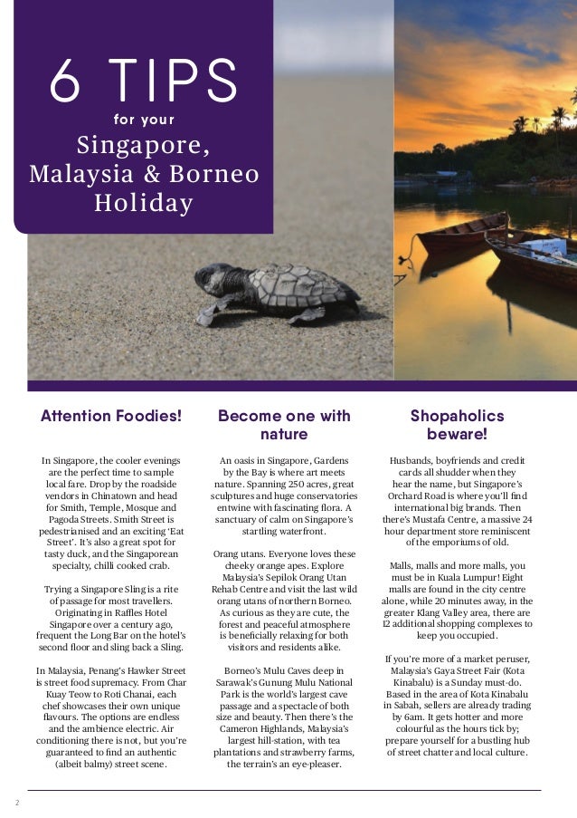 singapore malaysia borneo brochure 2017 sing 100000 flyer scene