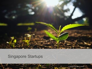 Singapore Startups
cc Mohammad Moniruzzaman
 