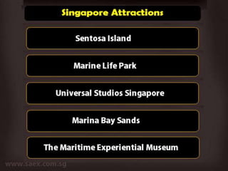SINGAPORE TOUR GUIDE PDF visual data 7