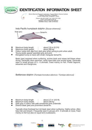IDENTIFICATION INFORMATION SHEET
                 Marine Mammal Research Laboratory, Tropical Marine Science Institute
   ...