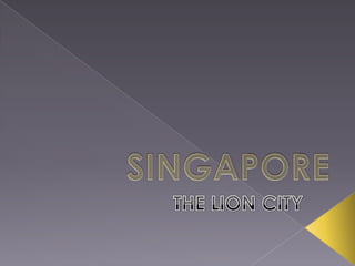 SINGAPORE THE LION CITY 