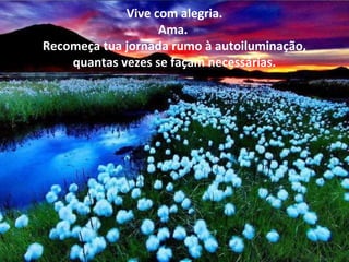 Vive com alegria.
Ama.
Recomeça tua jornada rumo à autoiluminação,
quantas vezes se façam necessárias.
 