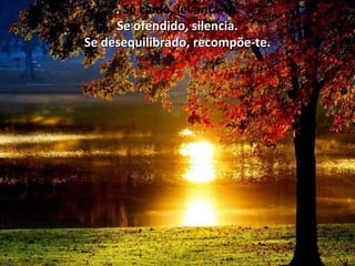 .. Se caído, levanta-te.
Se ofendido, silencia.Se ofendido, silencia.
Se desequilibrado, recompõe-te.Se desequilibrado, recompõe-te.
 