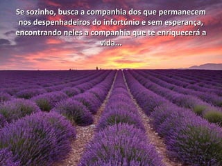Se sozinho, busca a companhia dos que permanecemSe sozinho, busca a companhia dos que permanecem
nos despenhadeiros do infortúnio e sem esperança,nos despenhadeiros do infortúnio e sem esperança,
encontrando neles a companhia que te enriquecerá aencontrando neles a companhia que te enriquecerá a
vida...vida...
 