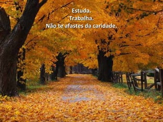 Estuda.Estuda.
Trabalha.Trabalha.
Não te afastes da caridade.Não te afastes da caridade.
 