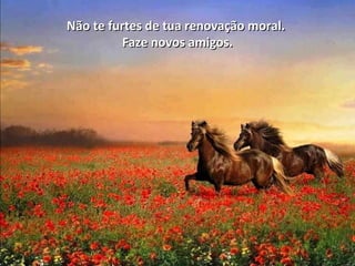 Não te furtes de tua renovação moral.Não te furtes de tua renovação moral.
Faze novos amigos.Faze novos amigos.
 