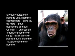 Singes