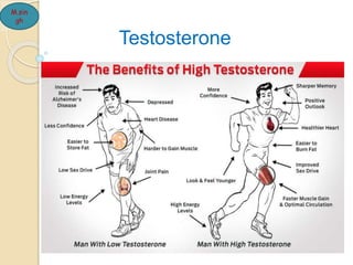 M.sin
gh
Testosterone
 