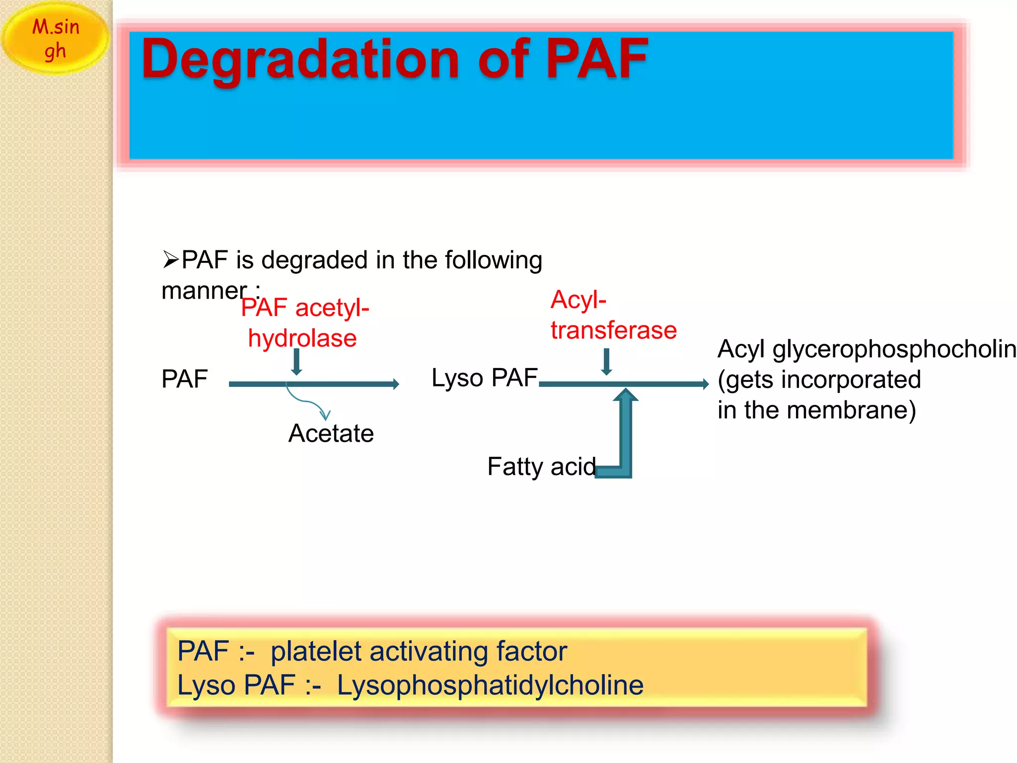 PLATELET ACTIVATING FACTOR | PPTX